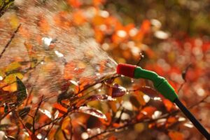 Обработка сада осенью